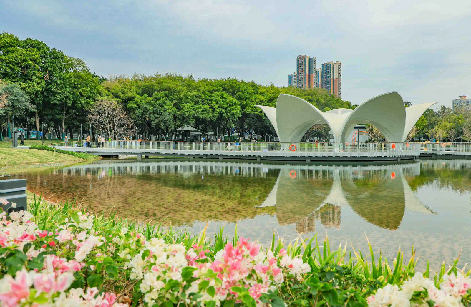 让市民畅享绿美宜居的诗意生活，宝安打造的高品质城区屡获殊荣