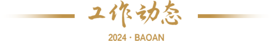 工作动态