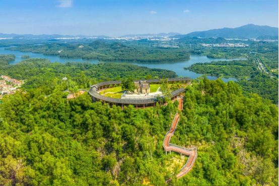 锚定高质量发展目标,山海连城绿美宝安建设"奔跑"开局_深圳宝安网